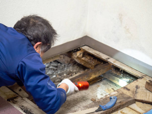 Certified Mold Removal in Malibu, CA