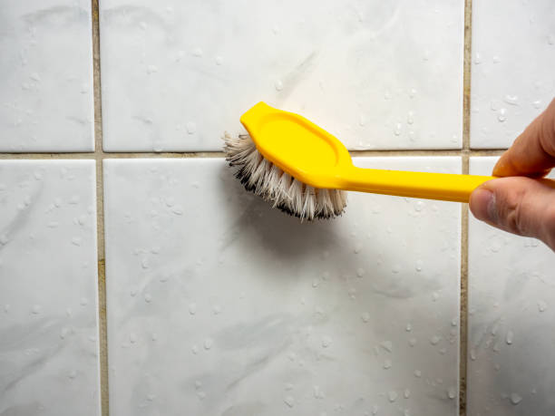 Best Mold Removal Company Near Me  in Malibu, CA