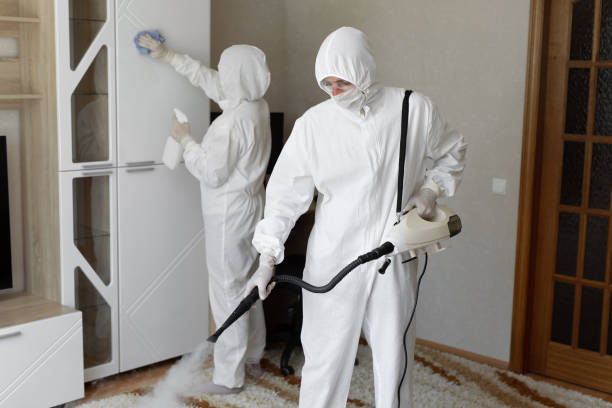 Best Residential Mold Removal  in Malibu, CA