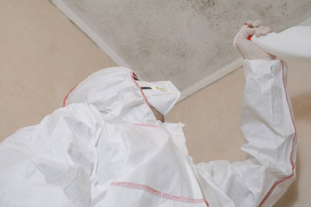 Best Attic Mold Removal  in Malibu, CA