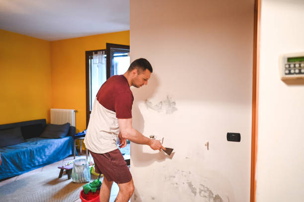 Best Mold Remediation Services  in Malibu, CA