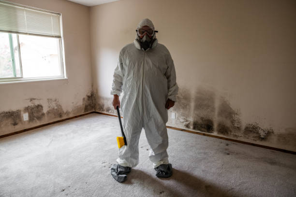 Best Residential Mold Removal  in Malibu, CA
